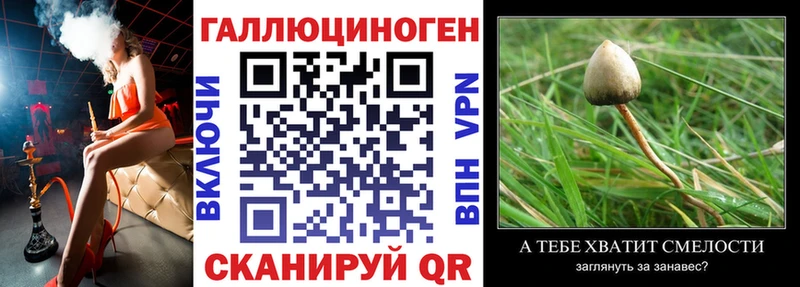 Галлюциногенные грибы MAGIC MUSHROOMS  Лысково 